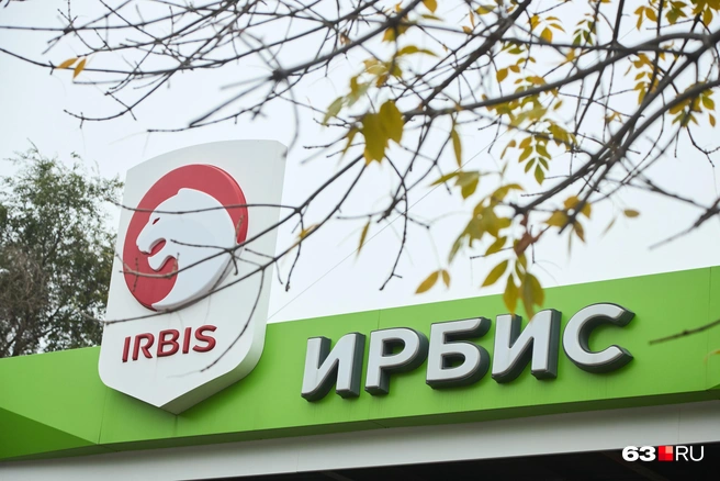 В Самаре четыре «ИРБИСа» | Источник: Роман Данилкин / 63.RU