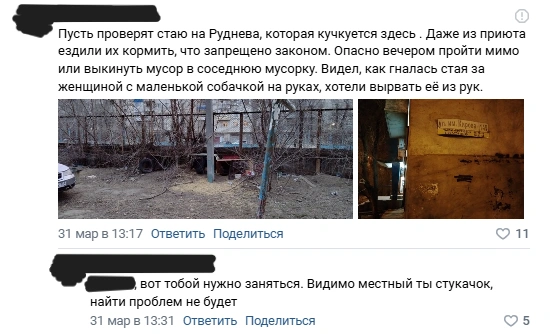 По словам Ивана, агрессивные ответы на его комментарии после этого приходили регулярно | Источник: В1.ру | Новости / Vk.com