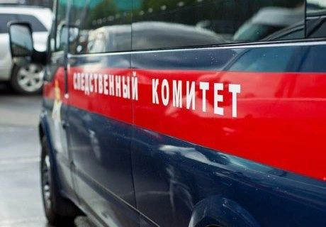 В Ростовской области кавказская овчарка загрызла ребенка | ya62.ru