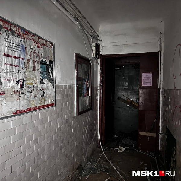 Источник: Алина Мельникова / MSK1.RU