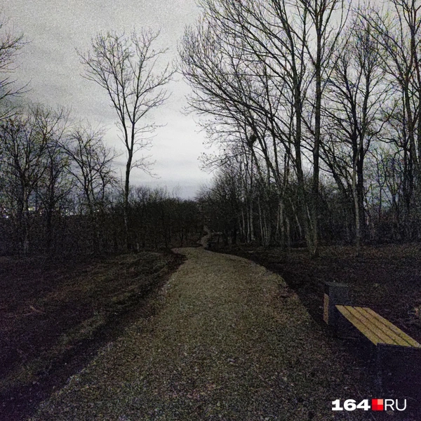 Источник: Сергей Гендин / 164.RU