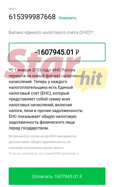 Жена Дмитрия Тарасова Анастасия Костенко задолжала налоговой 1,6 миллиона