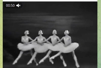 Privmor-Akhtarsk head posts Swan Lake after security visit