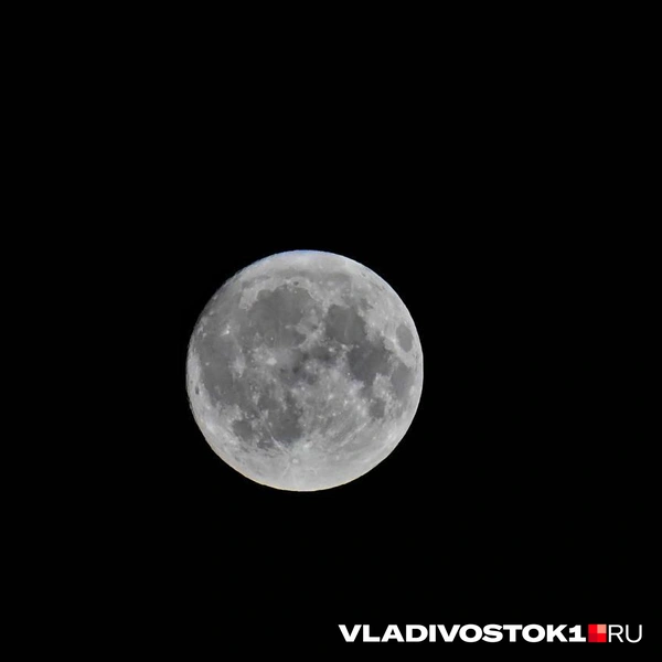 Источник: Елена Буйвол / VLADIVOSTOK1.RU