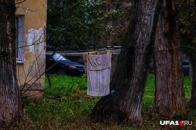 С такой погодой долго будет сохнуть | Источник: Булат Салихов / UFA1.RU