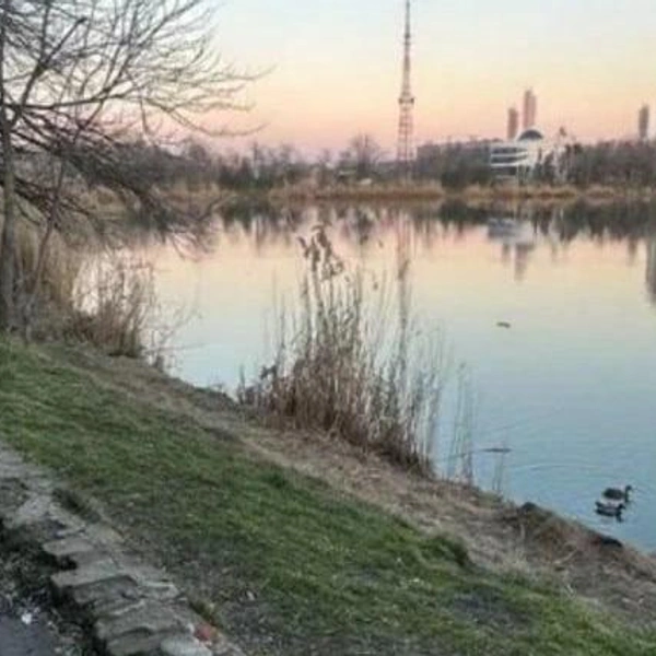 Нижнее Покровское озеро | Источник: Сайт «Госуслуг»