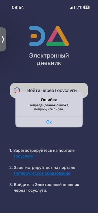 В Петербурге родители не смогли зайти в электронный дневник из-за сбоя в выходные | Источник: Читательница «Фонтанки»
