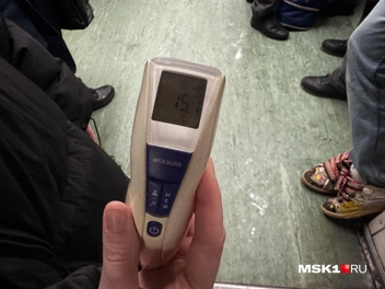 Показатели на термометрах незначительно разошлись — они показали +15,1 °С и +15,8 °С | Источник: Алина Мельникова / MSK1.RU