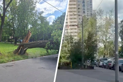 Ураганный ветер в Москве: последствия шторма