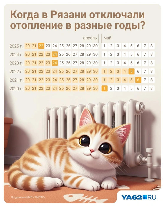 Так выглядит статистика с 2020 года | Источник: Евгения Бикунова / Городские медиа