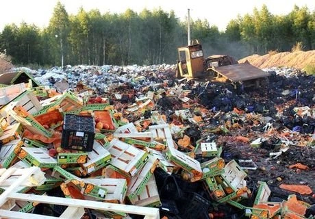 Россельхознадзор уничтожил 676 тонн запрещенной продукции | ya62.ru