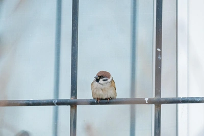 19 февраля в Приморье ожидается похолодание