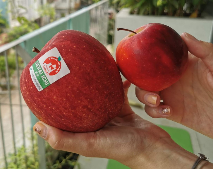 Какие из российских яблок самые вкусные, надо ли чистить яблоки и еще 10 вопросов о главной фруктовой скрепе