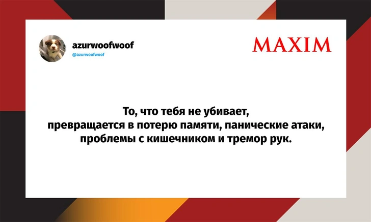 Самые смешные шутки вторника и «секрет энергии кота Бориса» | Источник: X (Twitter)