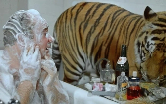 Тест: если ответите на все 5 вопросов верно, у вас зрительная память, как всего у 8%