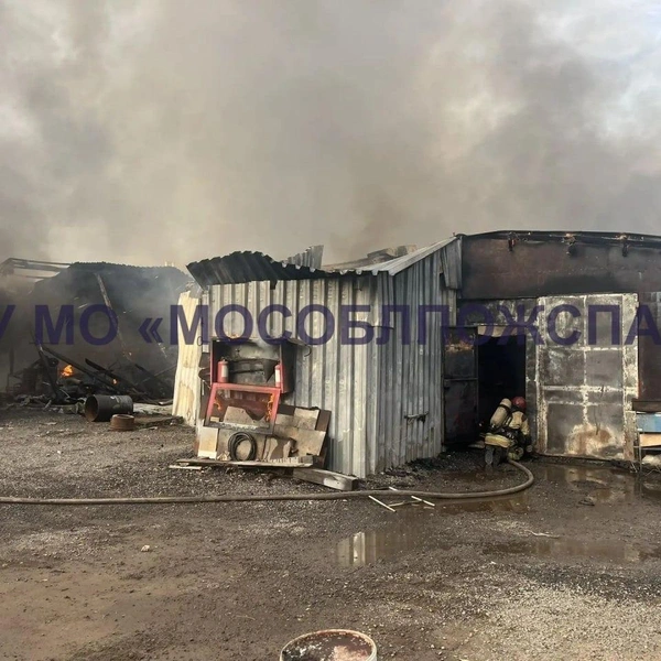 Источник: ГКУ МО «Мособлпожспас» / T.me