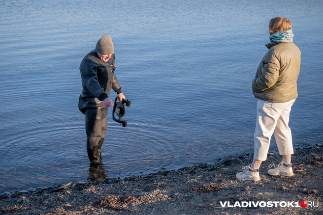 Источник: Елена Буйвол / VLADIVOSTOK1.RU