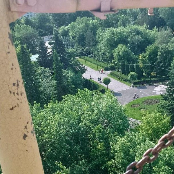 Посмотреть в глубину парка с высоты — одно удовольствие | Источник: Рихарда Лем/ NGS.RU
