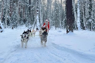 Екатеринбуржцы о 2026 годе: радости, болезни и потери