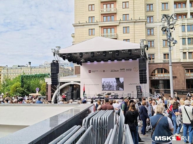 Часть железных ограждений находится там, где сейчас проходит фестиваль | Источник: Дмитрий Бондарев / MSK1.RU