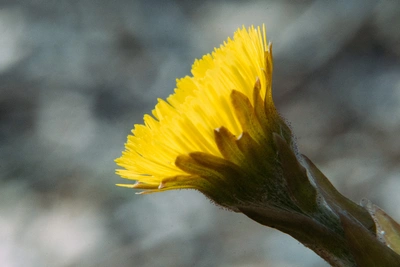 Тепло не отступает: прогноз погоды в Мурманской области на среду