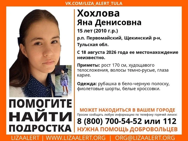 Ориентировка на пропавшего подростка | Источник: ДПСО «ЛизаАлерт» Тульской области / ВКонтакте