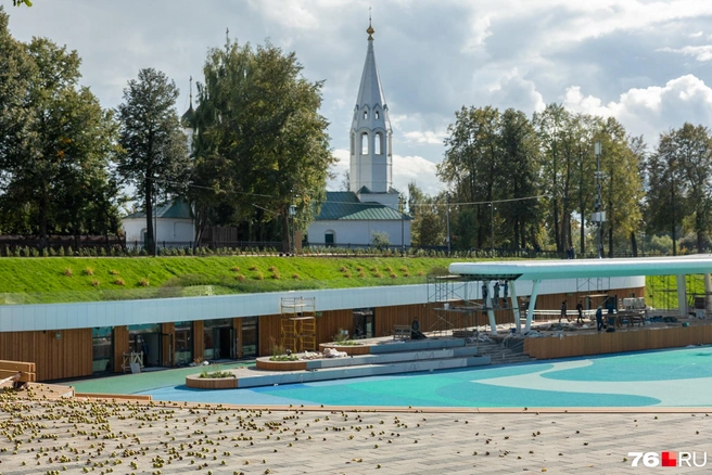 Такой вид сейчас открывается с одной из трибун | Источник: Александр Куренной / 76.RU