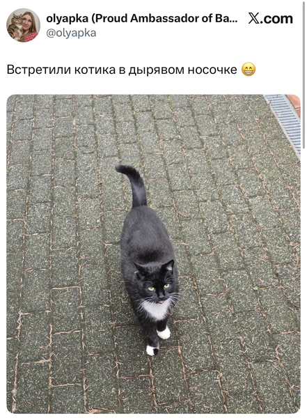 Источник: X (Twitter)