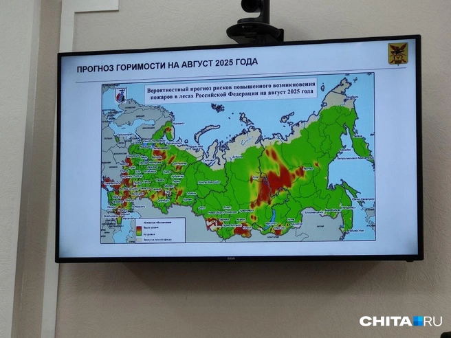 Источник: Александр Хамраев / СHITA.RU