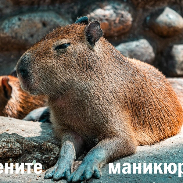 Источник: 晓纲 刘 / Unsplash; коллаж Vokrugsveta.ru