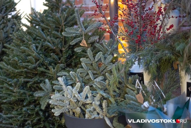 Торговать ими будут с 12 по 31 декабря | Источник: Елена Буйвол / VLADIVOSTOK1.RU