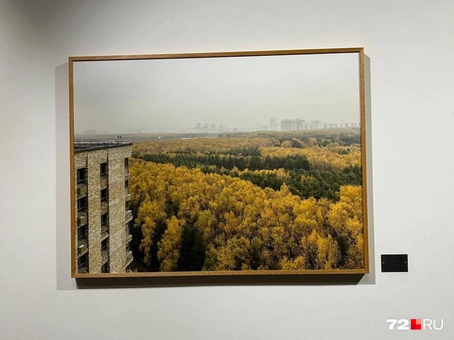 «Пространство взаимодействия» | Источник: 72.RU 