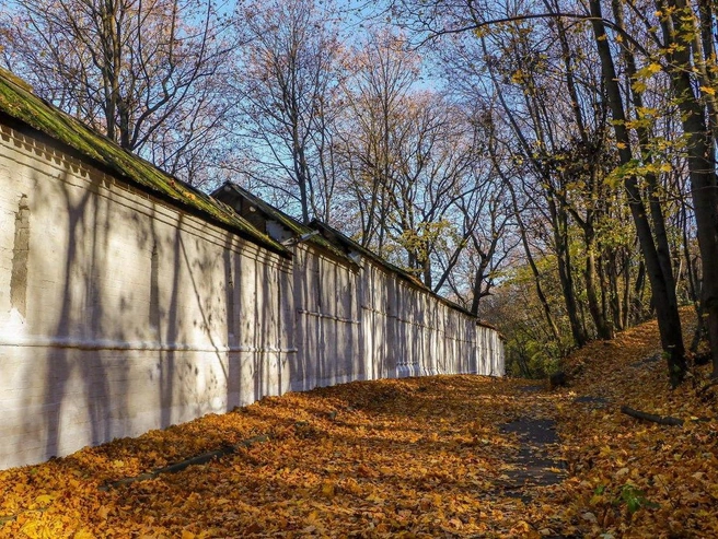 Тропа невероятно живописна | Источник: Наталья Бурухина / NN.RU