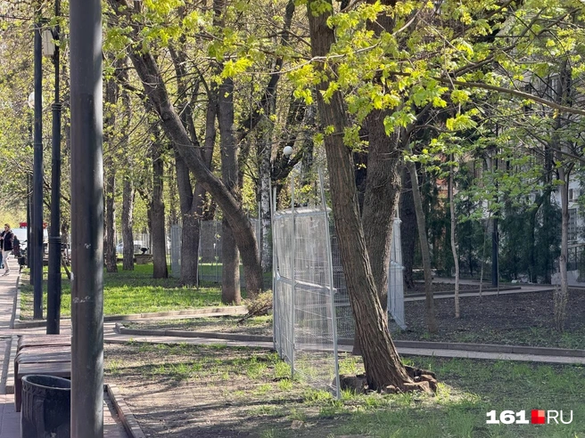 Источник: Евгений Вдовин / 161.RU