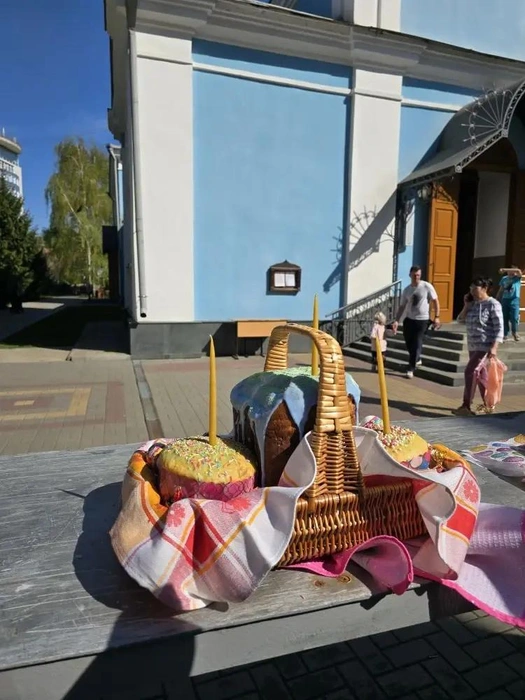 Источник: Ирина Булгакова/ Voronezh1.ru