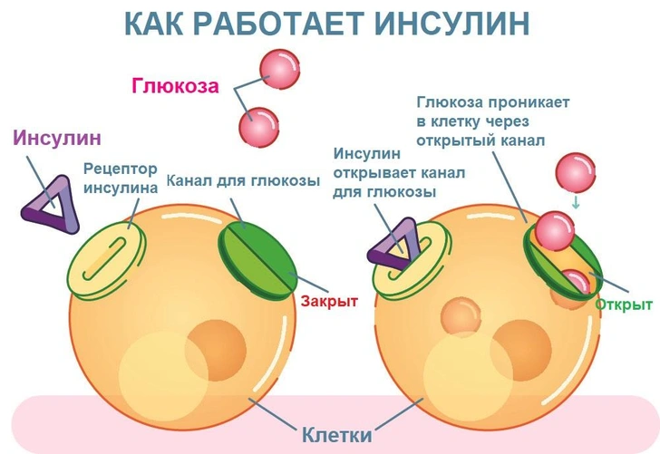 Сладость — не радость: чем опасен сахарный диабет и как от него уберечься