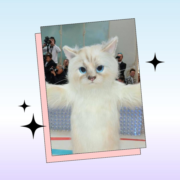Угадай, кто из знаменитостей пришел на Met Gala 2023 в костюме огромной кошки