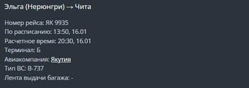 Источник: скриншот онлайн-табло аэропорта Читы / aerochita.ru