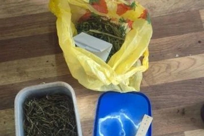Полиция изъяла наркотики у жителя Новоторъяльского округа