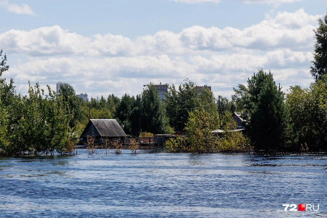 Большая вода подобралась к домам и дачным участкам | Источник: Ирина Шарова / 72.RU