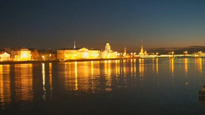 Кадр супервидовой веб-камеры | www.fontanka.ru