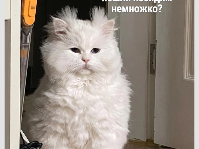 Заманчивое предложение | Источник: Городские медиа