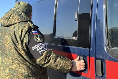 На Камчатке возбудили дело из-за опасной конной прогулки