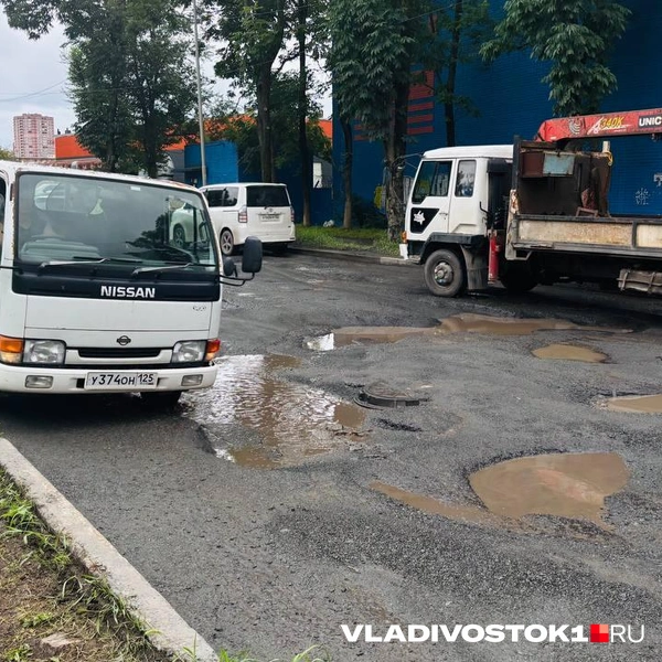 Источник: Елена Буйвол / VLADIVOSTOK1.RU