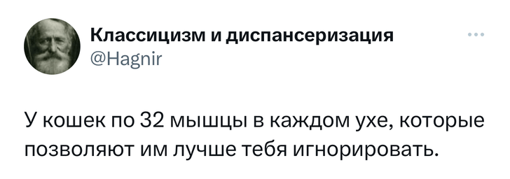 Шутки пятницы и «единственное место в Интернете, где меня волнует мнение окружающих»