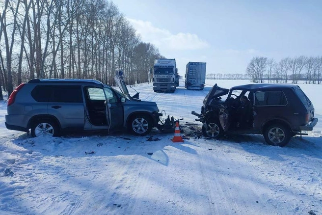 Авария случилась около 12.35 на 60 км трассы | Источник: пресс-служба МВД Алтайского края