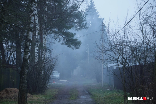 Источник: Дмитрий Толстошеев / MSK1.RU