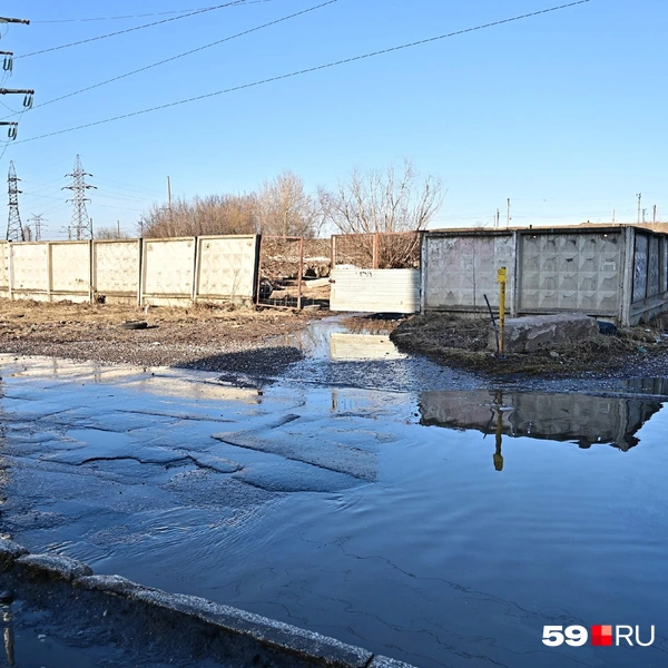 Снега за забором уже не видно | Источник: Василина Любимова / 59.RU