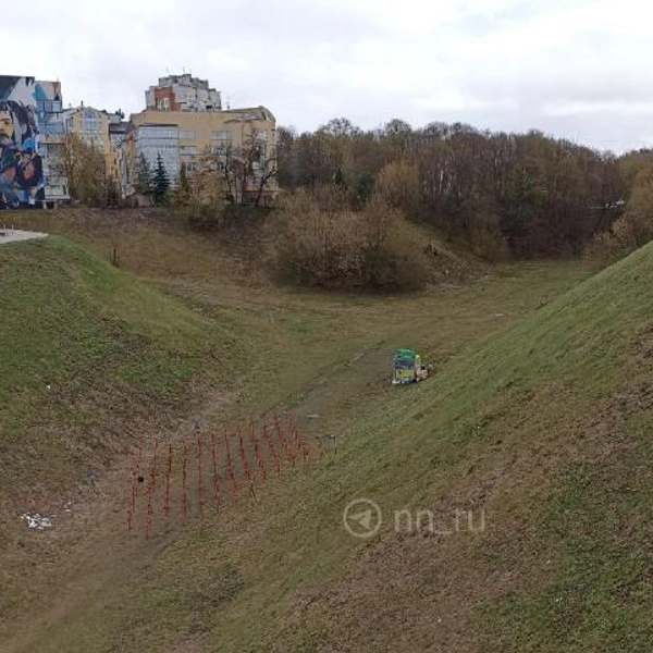 Источник: Дарья Воробьева / NN.RU
