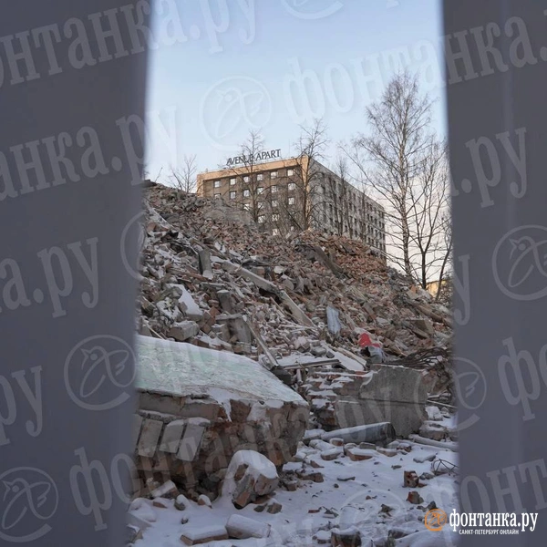 Источник: Павел Даиси / FONTANKA.RU